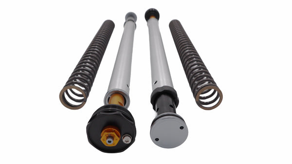 Andreani Misano EVO Cartridge Kit - Honda CRF 300 L (105/H57E)