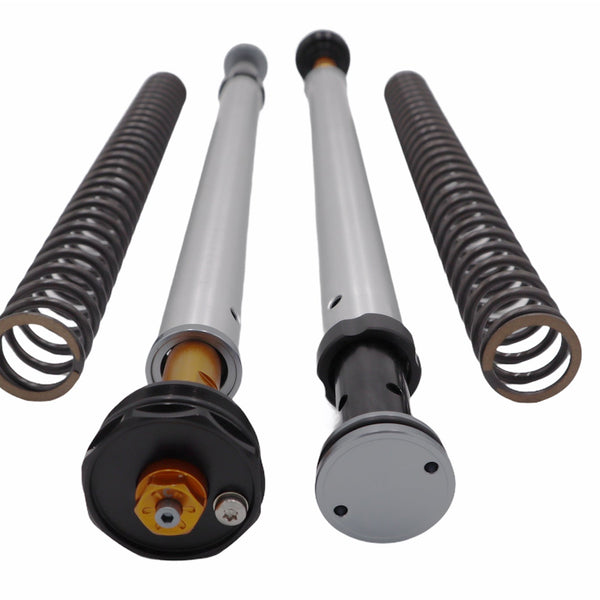 Andreani Misano EVO Cartridge Kit - Honda CRF 300 L (105/H57E)