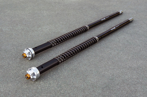 Andreani Misano EVO Cartridge Kit - KTM Duke 390 / RC390 (105/KT2E)