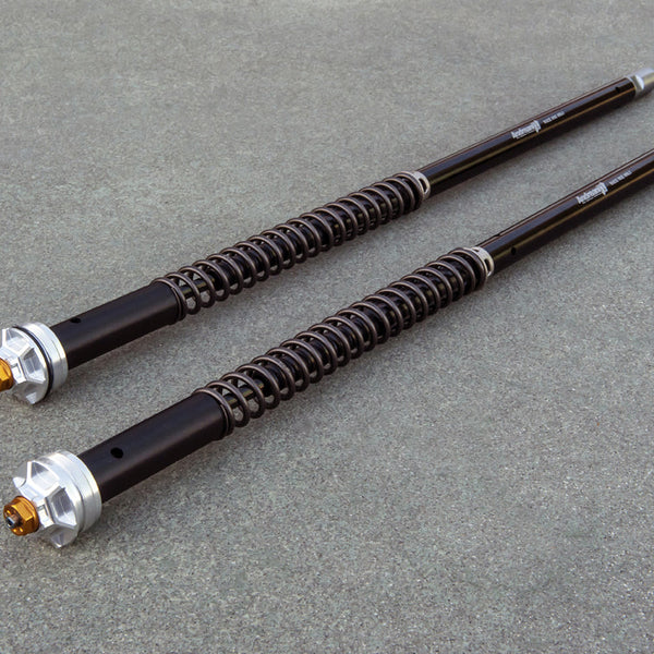Andreani Misano EVO Cartridge Kit - KTM Duke 390 (105/KT7E)
