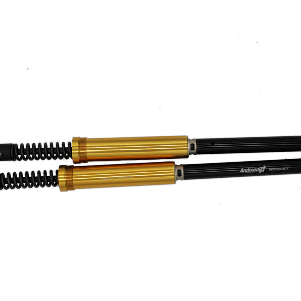Andreani Misano EVO BPF Cartridge Kit - Kawasaki ZX-6RR / ZX-6R (636) (315/K01E)