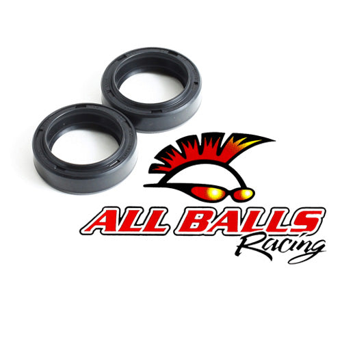 All Balls Fork Oil Seal Kit (55-102)