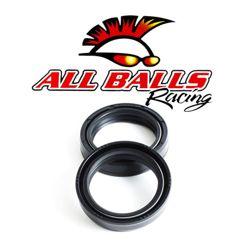 All Balls Fork Oil Seal Kit (55-112)