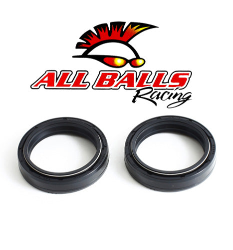 All Balls Fork Oil Seal Kit (55-122)