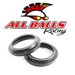 Fork Dust Seal Kit — Beta RR 4T 250 (2005-2007)