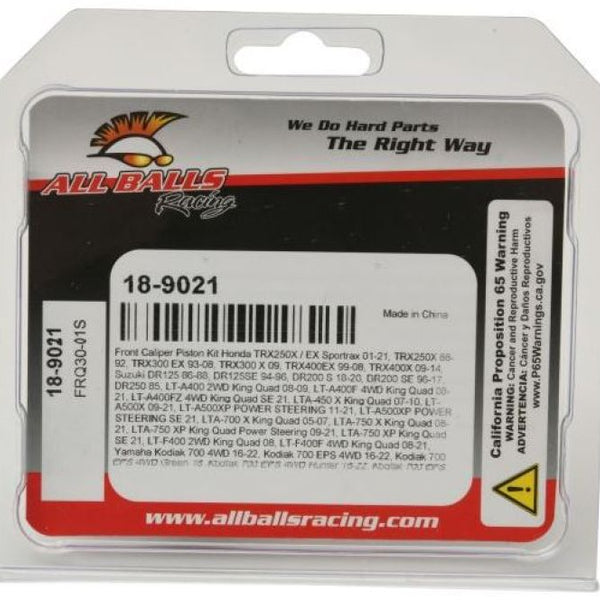 Brake Caliper Piston Kit — Honda TRX250X / EX Sportrax (2001-2025)