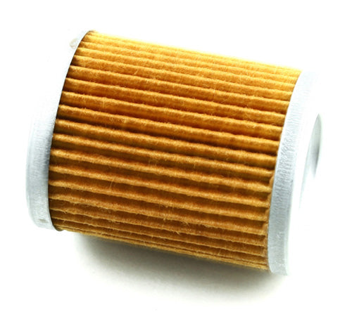 Emgo Oil Filter — 10-55500