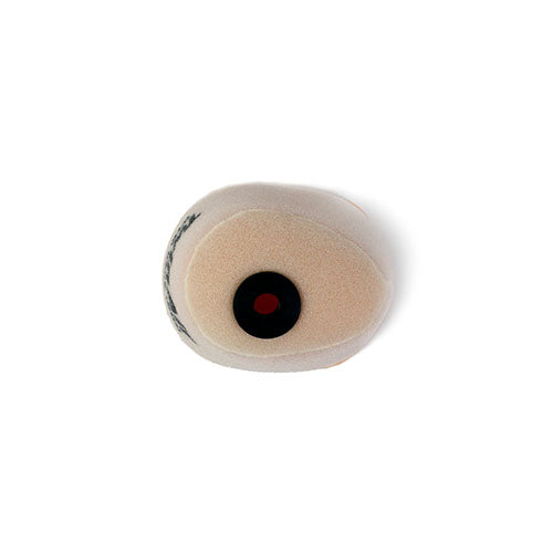 Twin Air Air Filter — 154520N