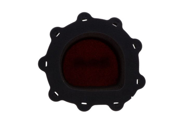 Twin Air Standard Air Filter (156024FR)