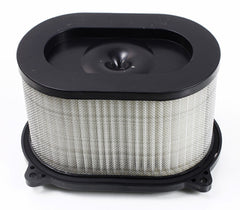 Hiflofiltro Air Filter — HFA3609