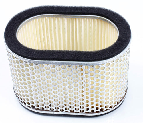 Hiflofiltro Air Filter — HFA3901