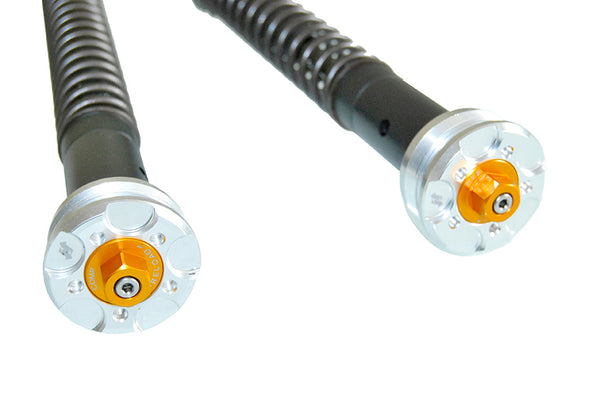 Andreani Misano EVO2 Cartridge Kit - Kawasaki Ninja 400 / Ninja 500 (305/K18E)
