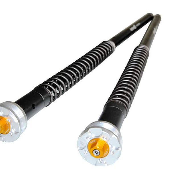 Andreani Misano EVO Cartridge Kit - Kawasaki ZX-6R (105/K29E)