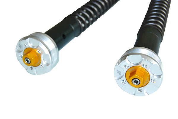 Andreani Misano EVO2 Cartridge Kit - Honda NX 500 (305/H74E)