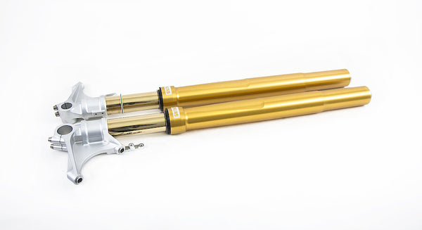 Öhlins FGRT 200 Fork Assembly (FGRT 236) for 2020-2025 Honda CBR1000RR