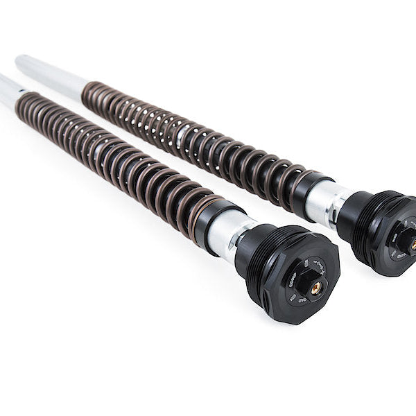 Öhlins NIX 30 Adventure Fork Cartridge Kit (FKA 115) for 2022-2025 Aprilia Tuareg 660