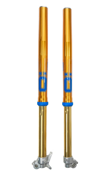 Andreani/Ohlins RXF48 MX Fork (FFX-AG2600) for 2025-2026 Ducati Desmo 450 MX