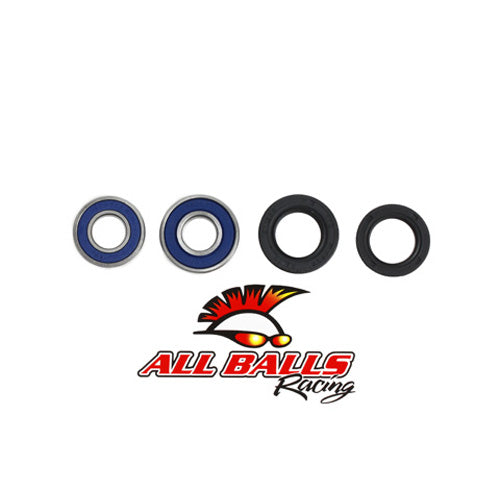 All Balls Wheel Bearing Kit (25-1160)