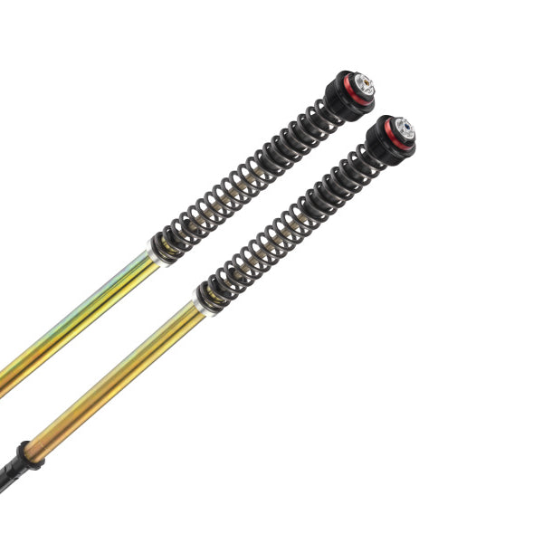 Bitubo JBHV1 Fork Cartridge Kits (CF001JBH01V1WO) for 2023-2026 CFMoto 450SR