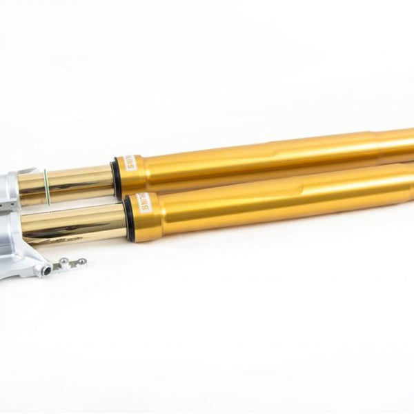 Öhlins FGRT 200 Fork Assembly (FGRT 226) for 2017-2023 BMW R nineT