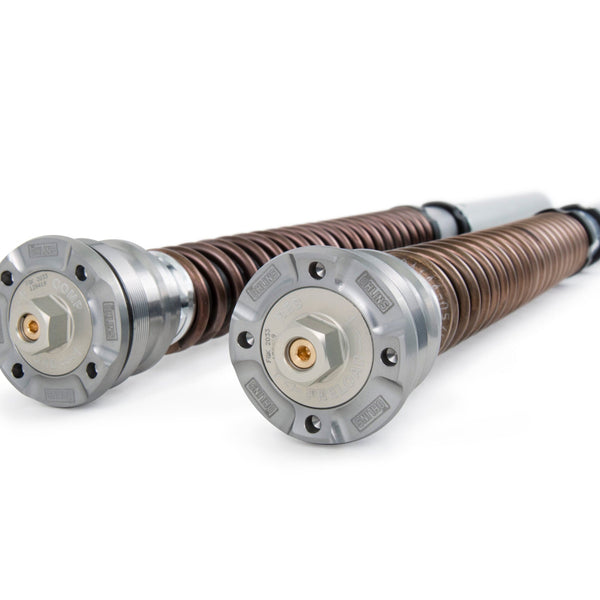 Öhlins NIX 30 Fork Cartridge Kit (FGK 229) for 2018-2025 Ducati Panigale V4 +5 more