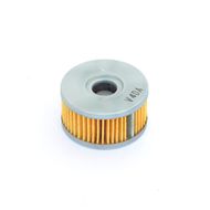 Athena Oil Filter — FFC042