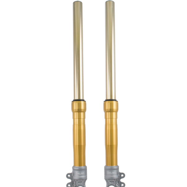 Öhlins Custom 43 Fork Assembly (FG 620)