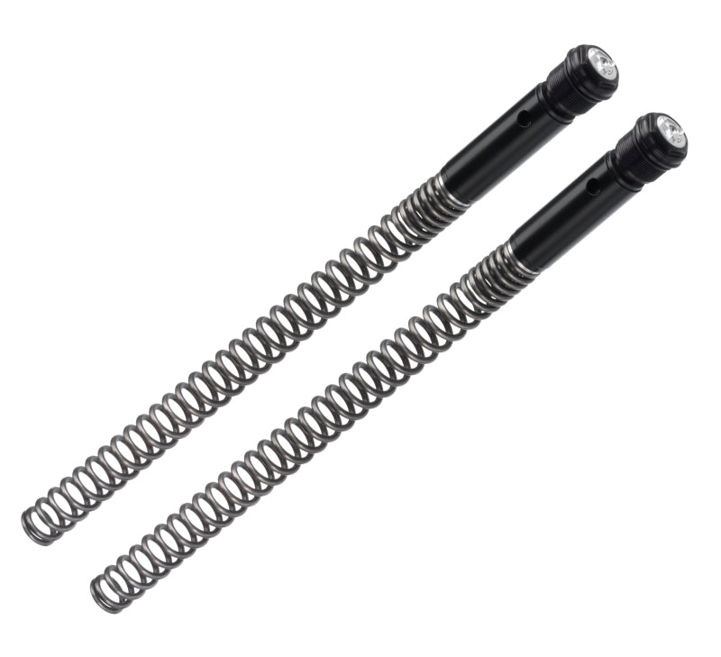 Fork and Shock Springs