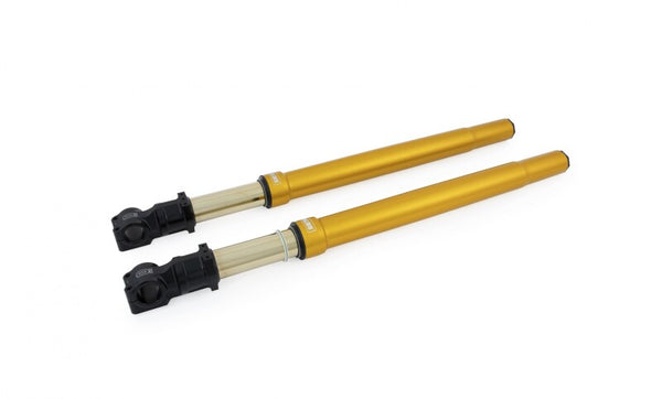 Öhlins FGRT 200 Fork Assembly (FGRT 227) for 2017-2023 BMW R nineT