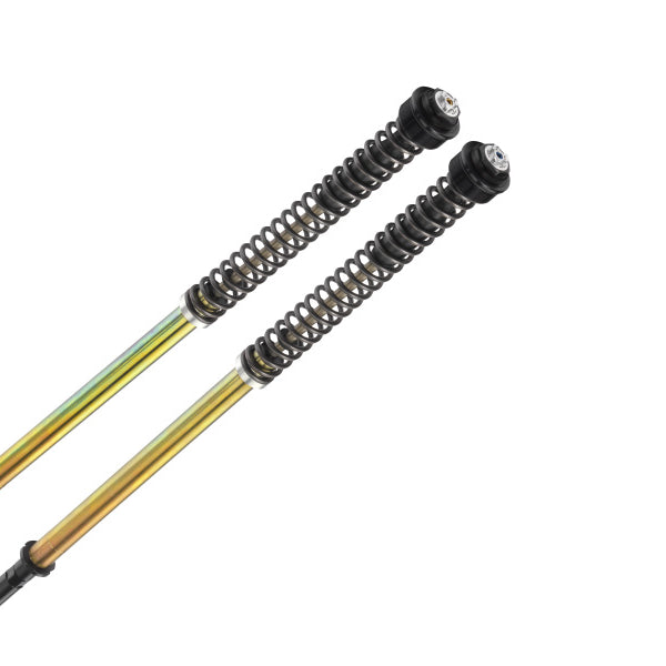 Bitubo JBHV1 Fork Cartridge Kits (S0075JBH01V1WO) for 2000-2003 Suzuki GSX-R750