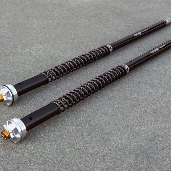 Andreani Misano EVO Cartridge Kit - Aprilia Shiver750 (105/A01E)