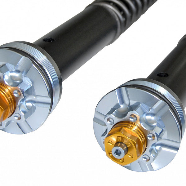 Andreani Misano Cartridge Kit - Harley-Davidson Dyna Low Rider S (110/HD13)