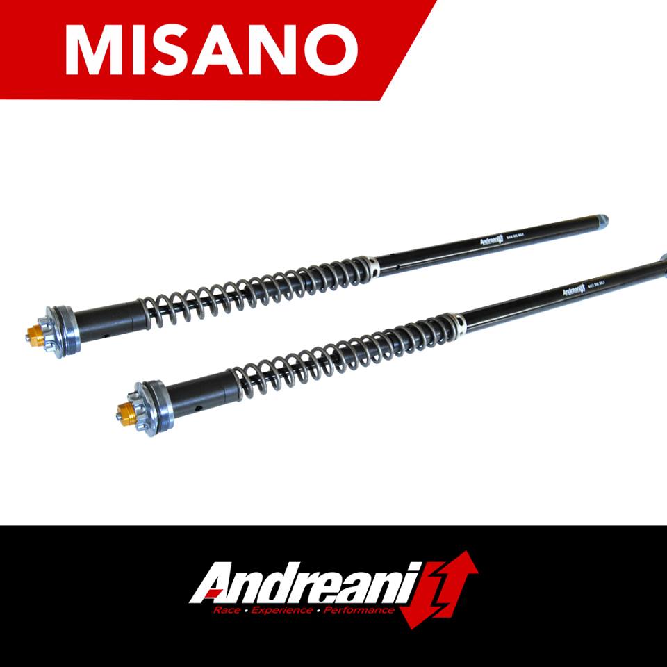 Andreani Misano EVO Cartridge Kit (110/HD15) for 2013-2017 Harley-Davidson Softail Breakout