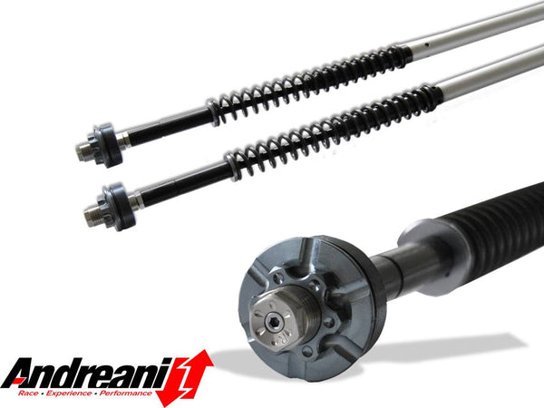 Andreani Misano Cartridge Kit - Harley-Davidson Dyna Switchback (110/HD7)