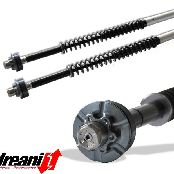 Andreani Misano Cartridge Kit - Harley-Davidson Dyna Switchback (110/HD7)