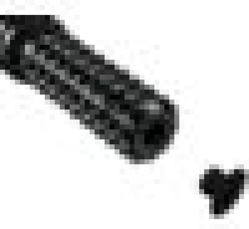 Vortex Rearsets Replacement Foot Peg with End Plug — Black (RSP06AK)