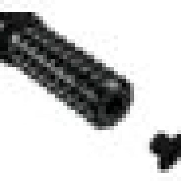 Vortex Rearsets Replacement Foot Peg with End Plug — Black (RSP06AK)