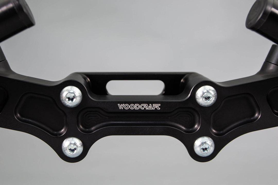 Woodcraft Ducati Monster 1200 &