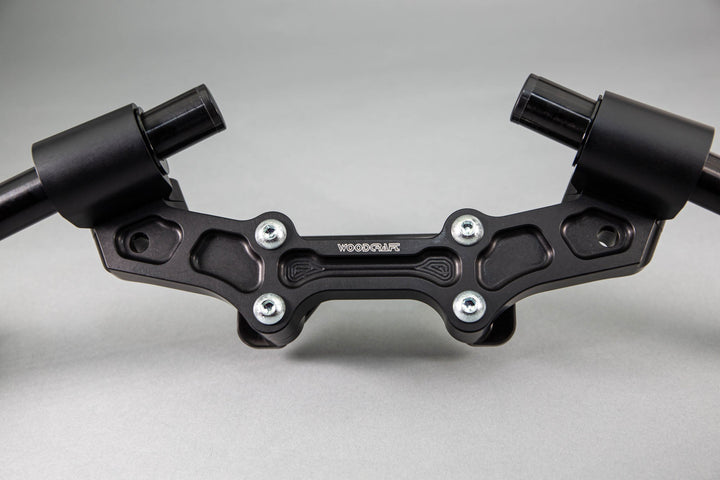 Woodcraft Ducati Monster 1200 &