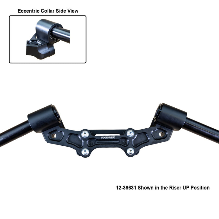 Woodcraft Ducati Monster 821 &