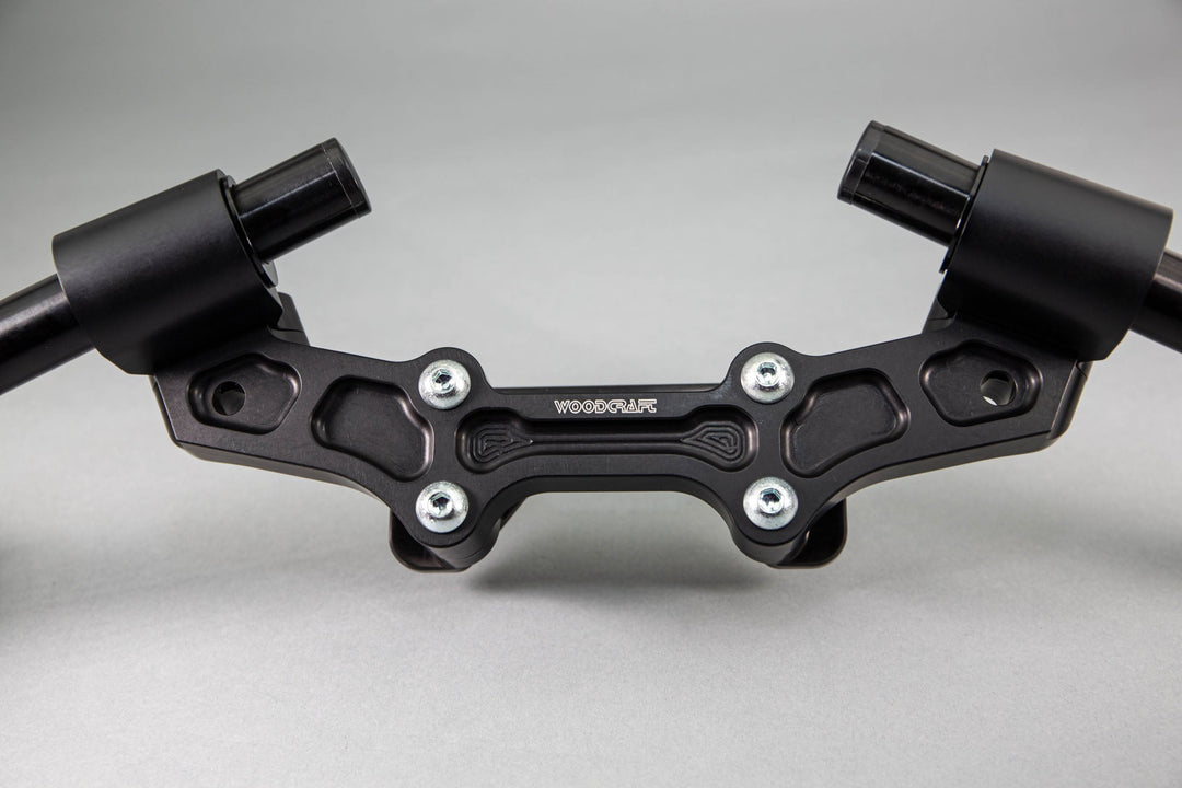 Woodcraft Ducati Monster 821 &