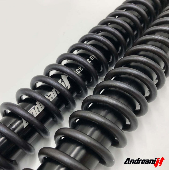 ANDREANI:125/H07