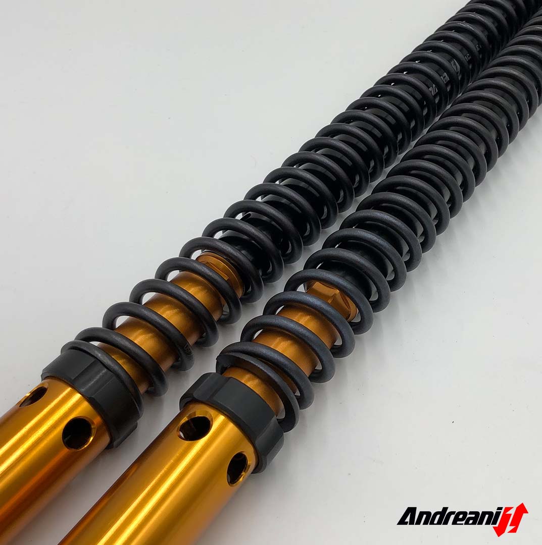 ANDREANI:125/H01
