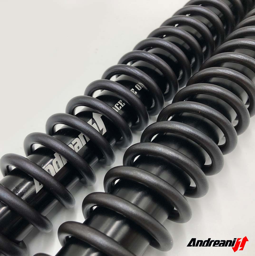 ANDREANI:125/KT02