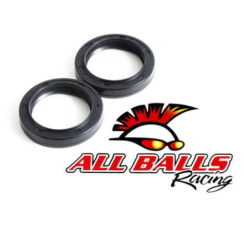 All Balls Fork Oil Seal Kit (55-110)