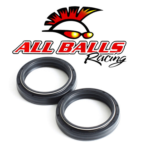 All Balls Fork Oil Seal Kit (55-117)