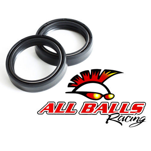All Balls Fork Oil Seal Kit (55-120)