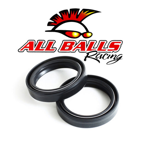 All Balls Fork Oil Seal Kit (55-124)