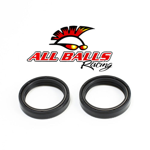All Balls Fork Oil Seal Kit (55-125)