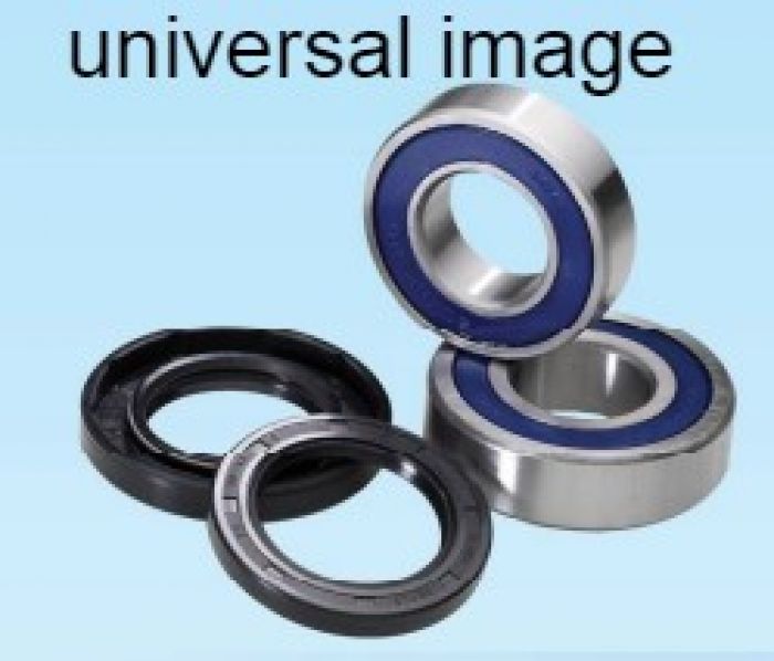 All Balls Racing Wheel Bearing Kit — Aprilia Caponord 1200 (2014-2017) + 2 more